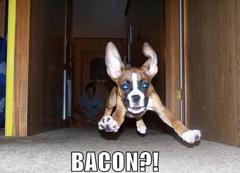 Bacon