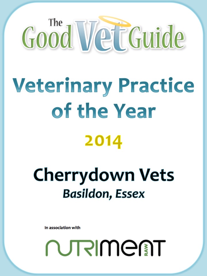 good vet
