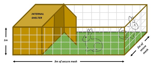 Infographic showing rabbit enclosure and measurements