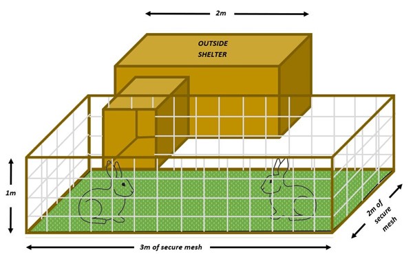 Infographic showing rabbit enclosure and measurements