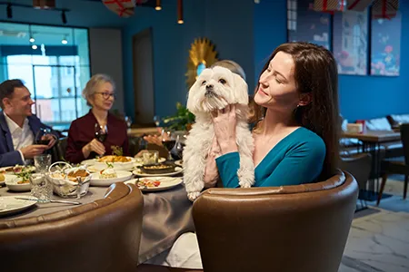 taking-dogs-to-public-places