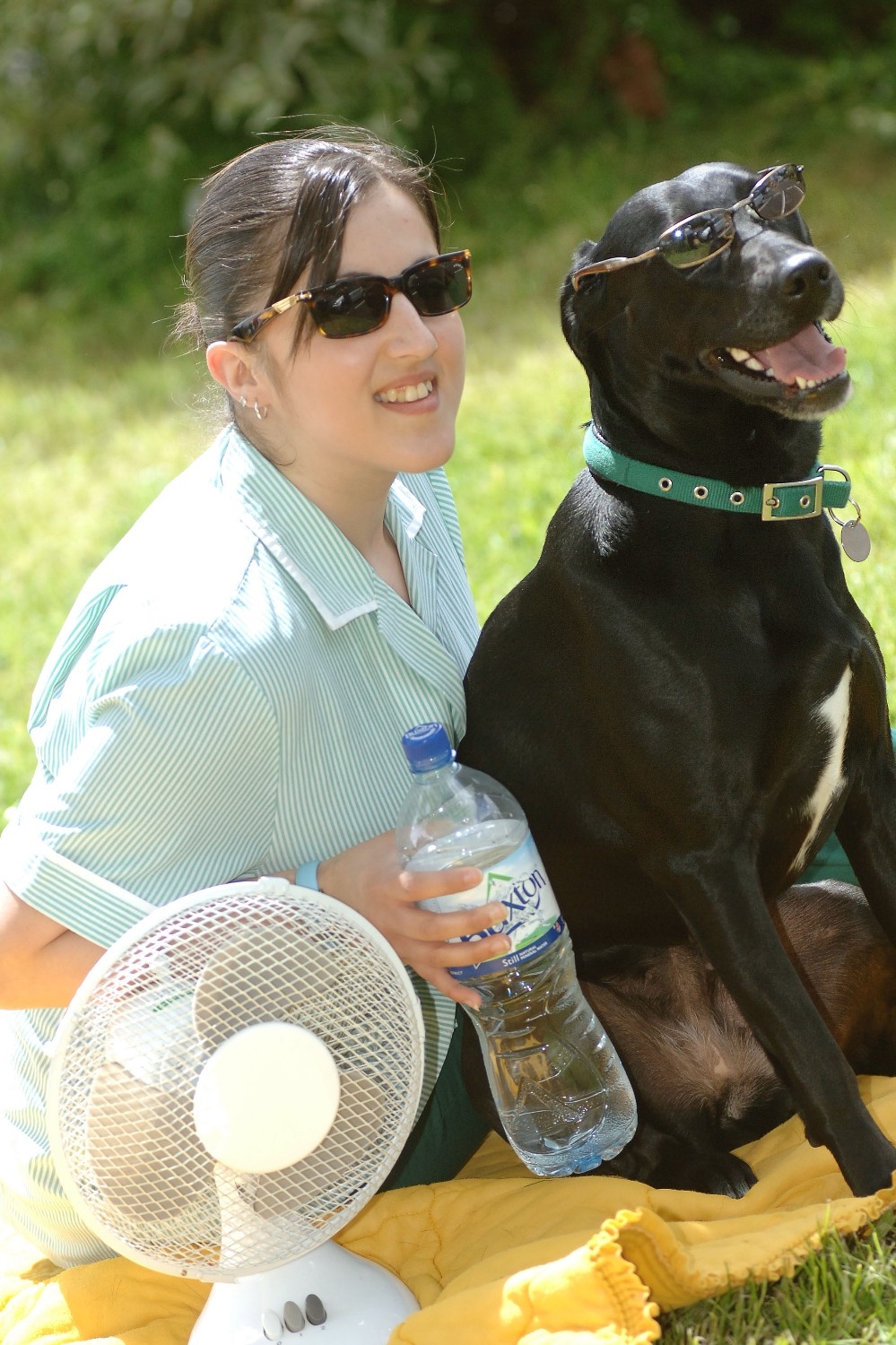 A dog wearing sunglasses sitting on its owners lap on a hot summers day
