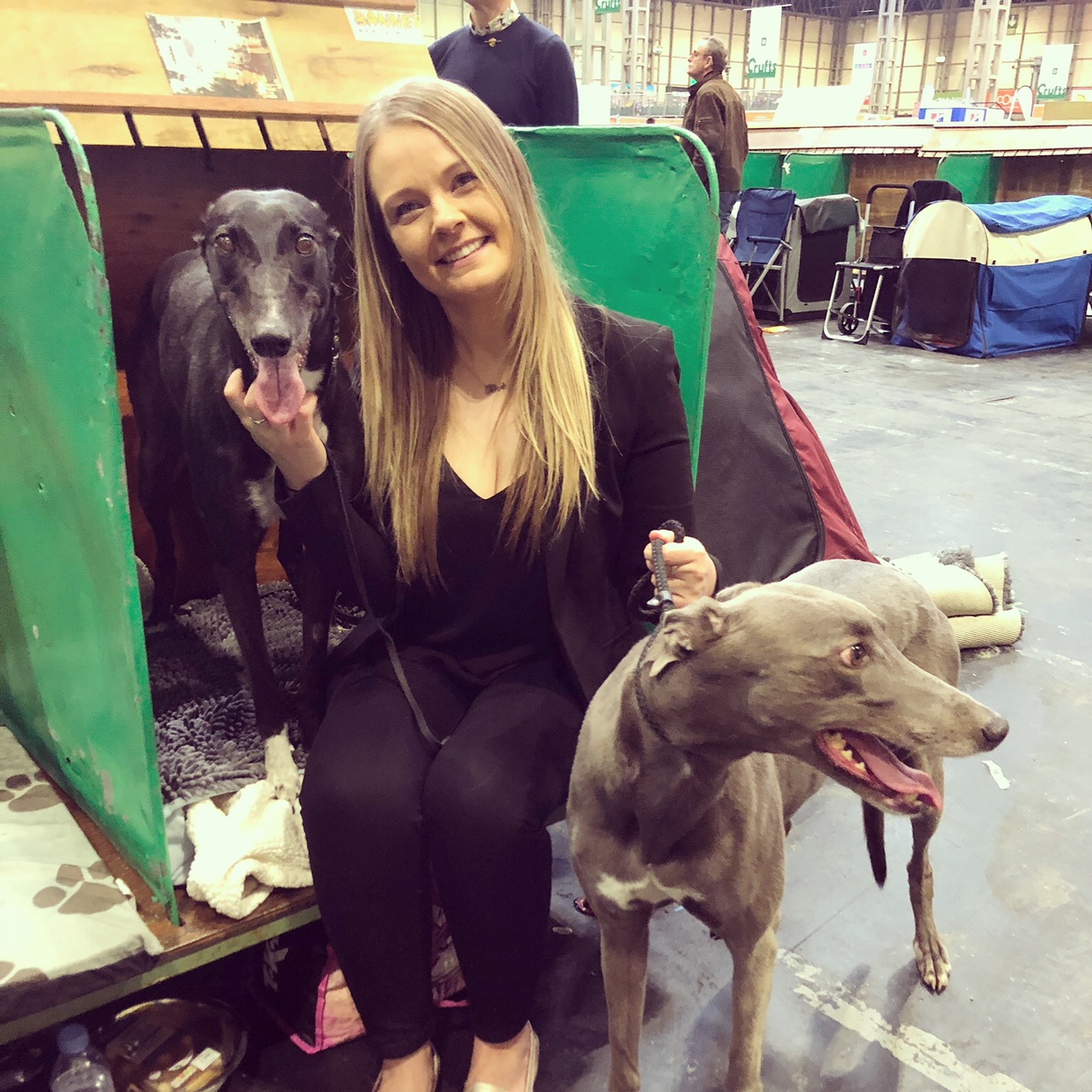 A crufts contestant standing with two dogs