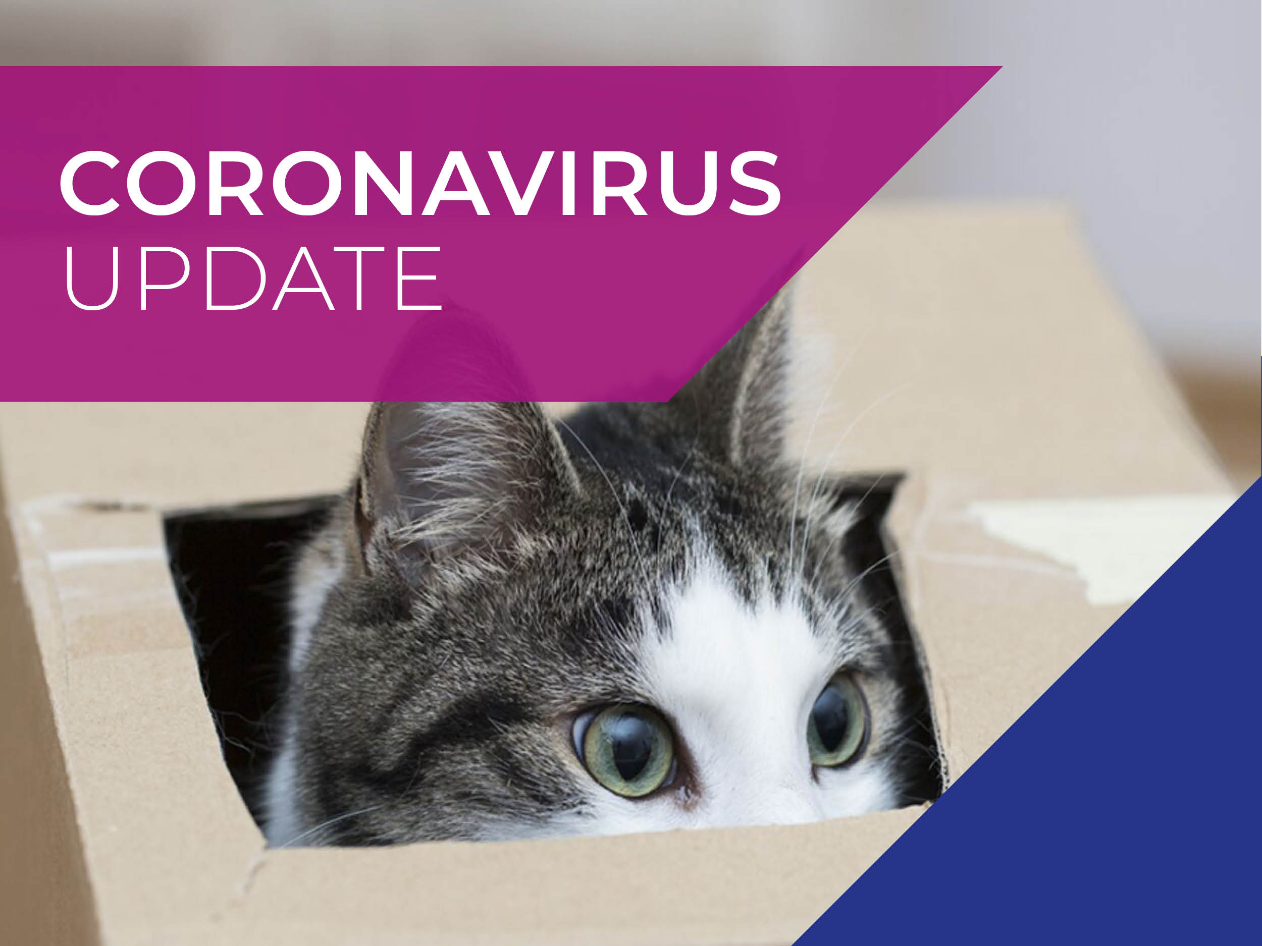coronavirus-update