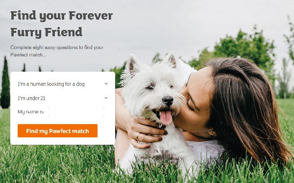 Pawfect-Match-Tool