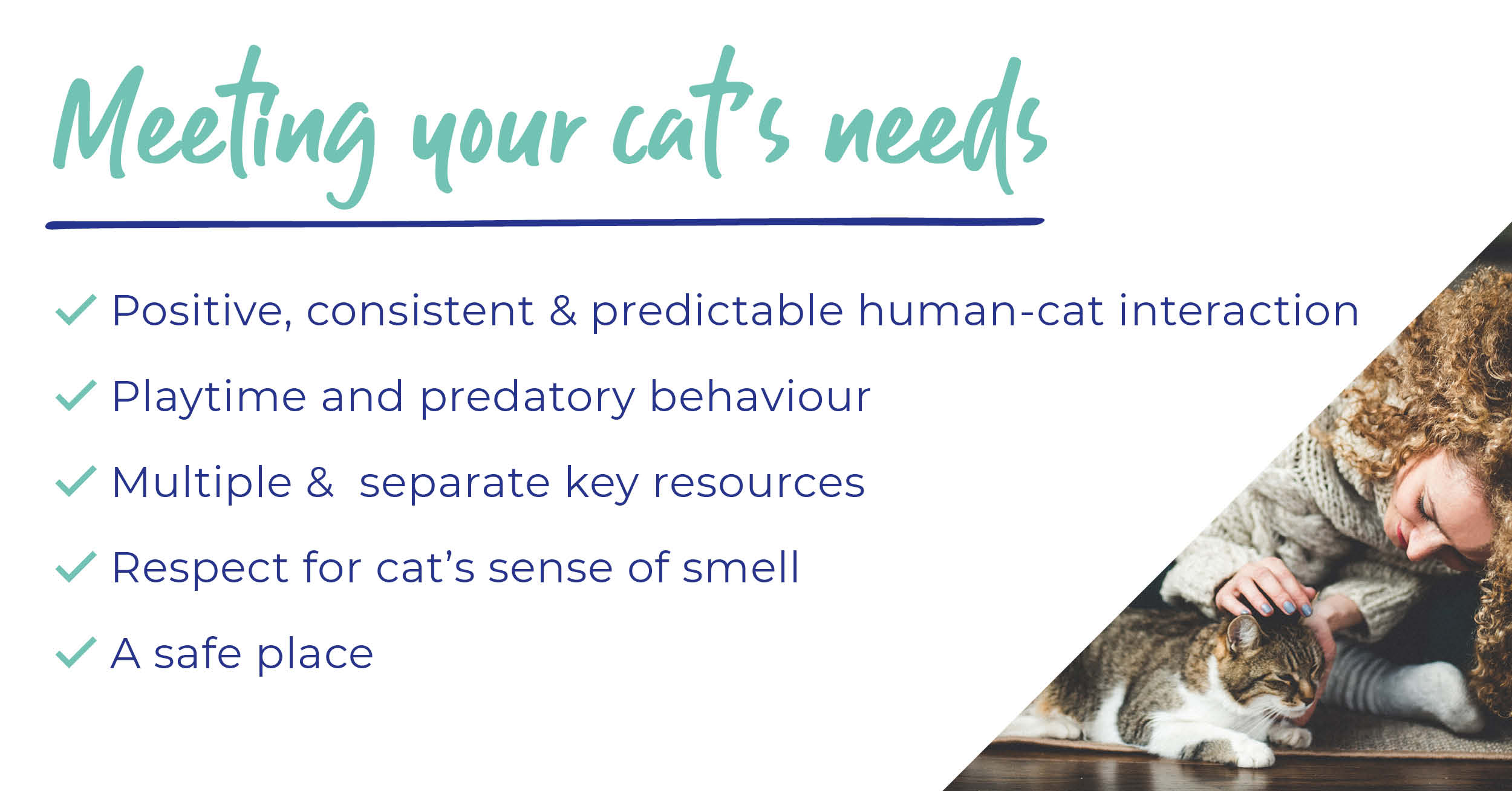 cat-needs