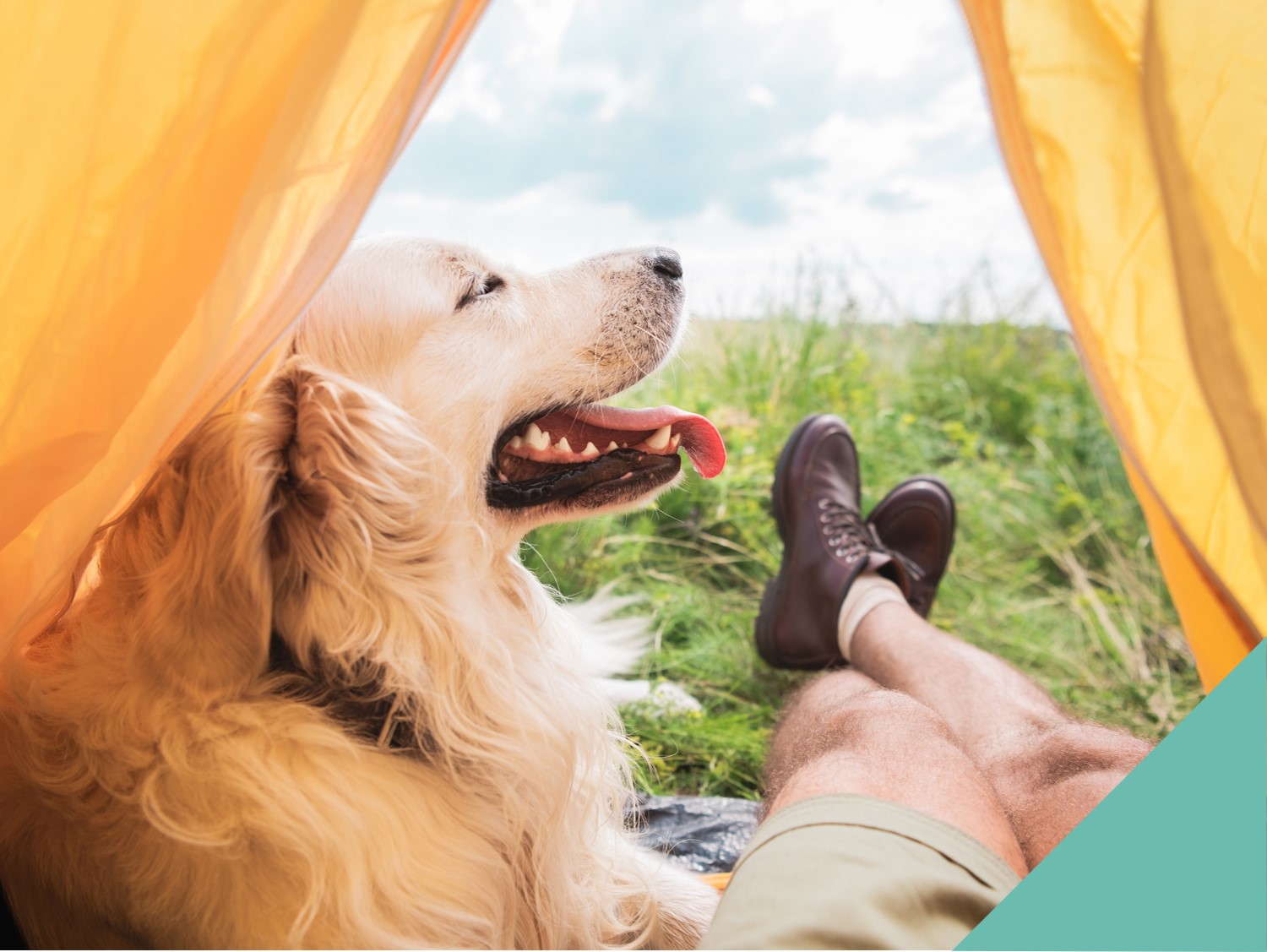 camping