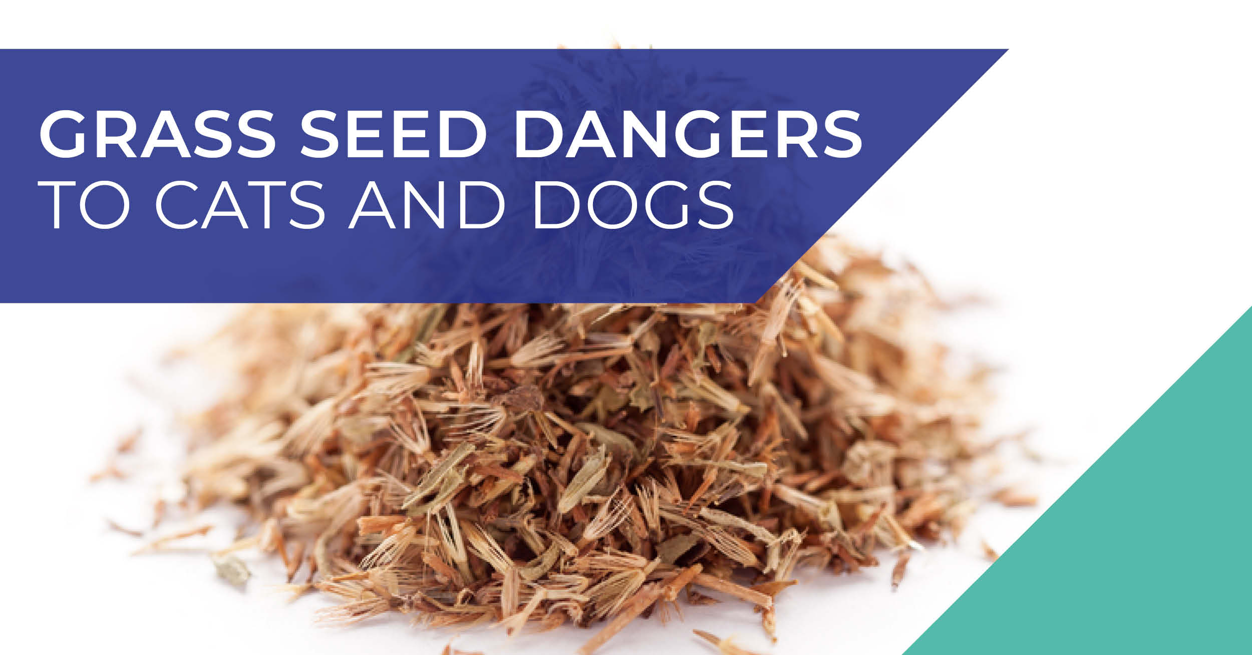 grass-seeds