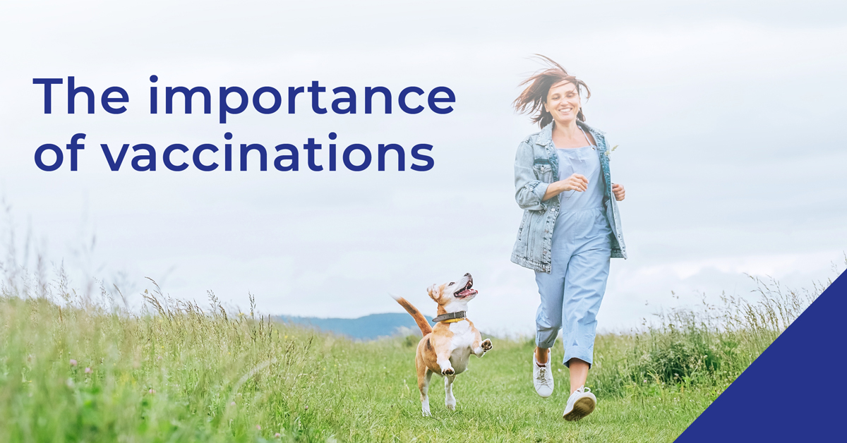 vaccination