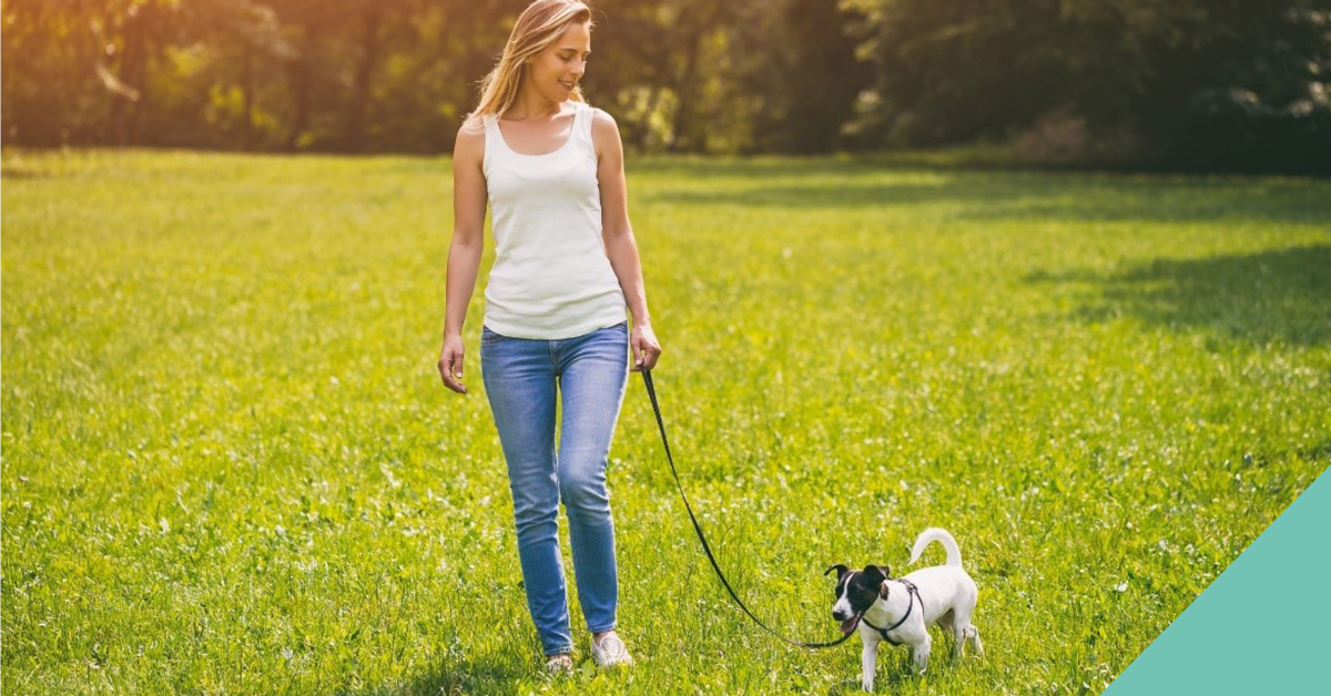walking-a-dog