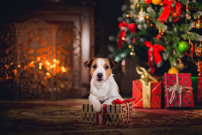 christmas