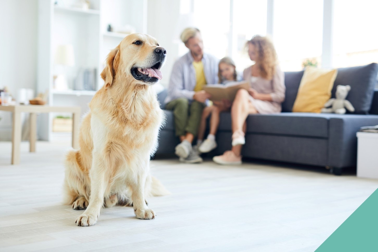 Dog sitting while a family reads to their child