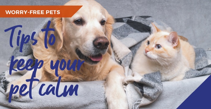 A dog and a cat lying on top of a blanket