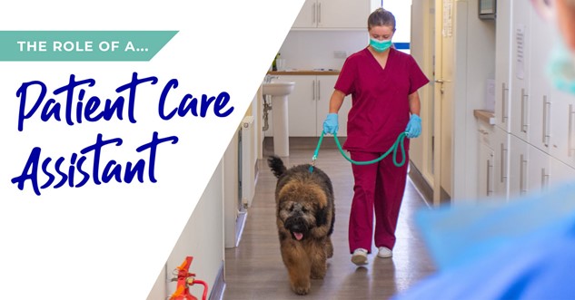 Patient Care Assistant infographic on the left with a nurse and a dog on the right
