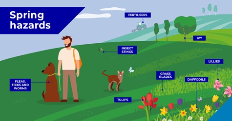 Spring hazards infographic