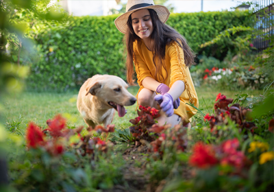 A woman and a dog looking at flowers together