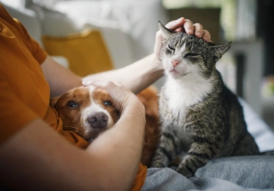 A dog and a cat sitting on their owner's lap
