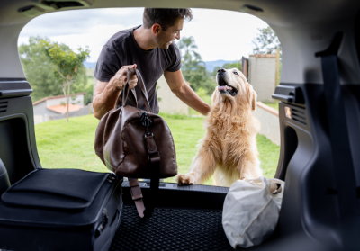 A dog getting into the boot of a car
