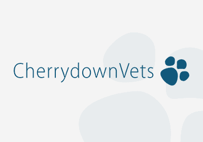 Common Breed Health Overviews