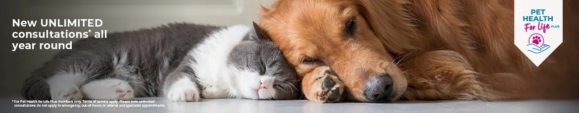 Join Cherrydown Vets Pet Health for Life