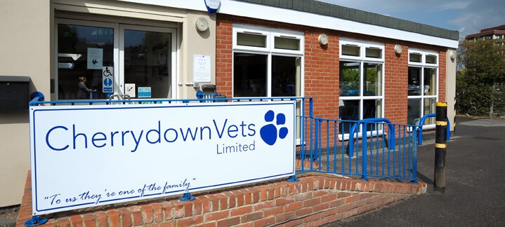 Cherrydown Vets in Basildon, Stanford Le Hope, Wickford in Essex