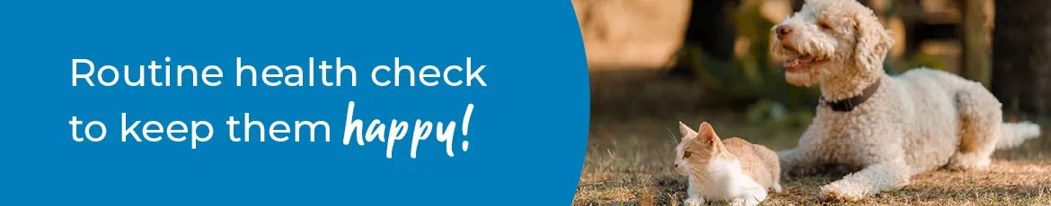 Annual Health Check