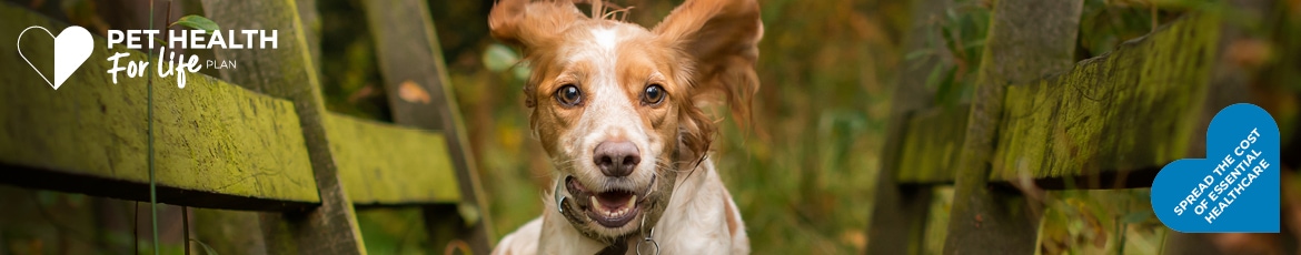 Dog Pet Health for Life Plan