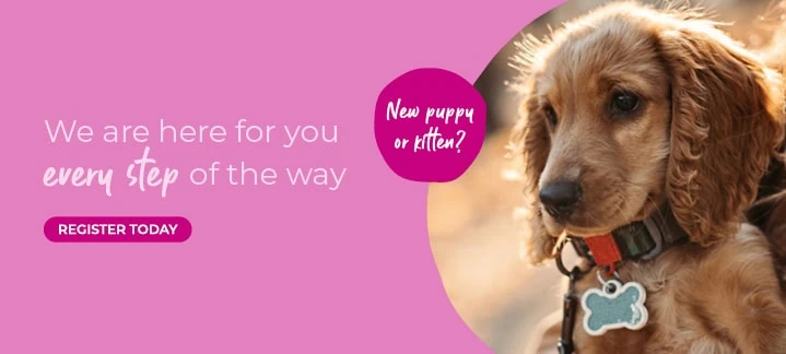 Cherrydown Vets in Basildon, Stanford Le Hope, Wickford in Essex