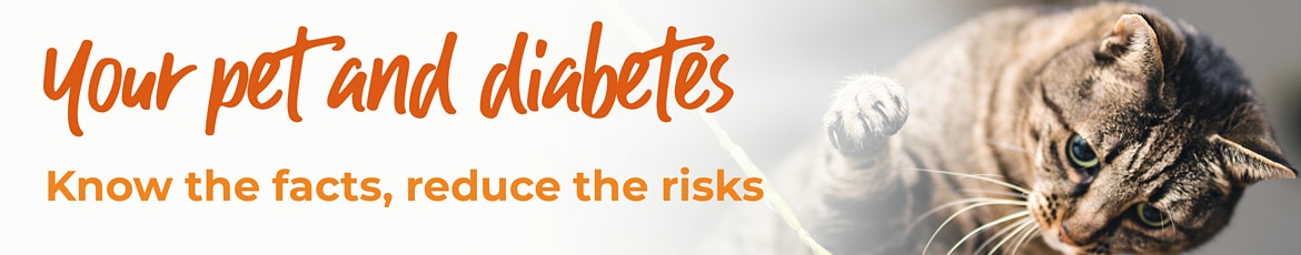 Advice to pet owners about diabetes