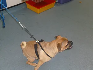 ethel moving