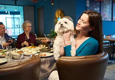 thumb-taking-dogs-to-pub
